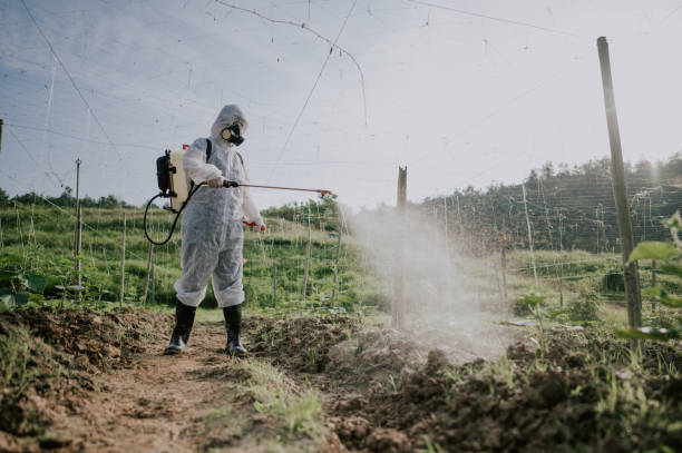 Best Pest Prevention Services  in Locust Fork, AL