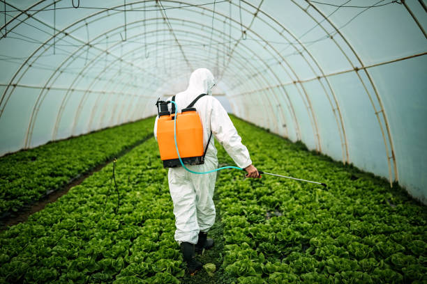 Best Emergency Pest Control  in Locust Fork, AL