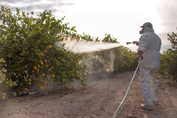 Best Best Pest Control Companies  in Locust Fork, AL