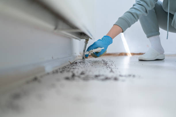 Best Residential Pest Control  in Locust Fork, AL