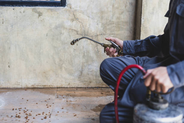 Best Ant Control Services  in Locust Fork, AL